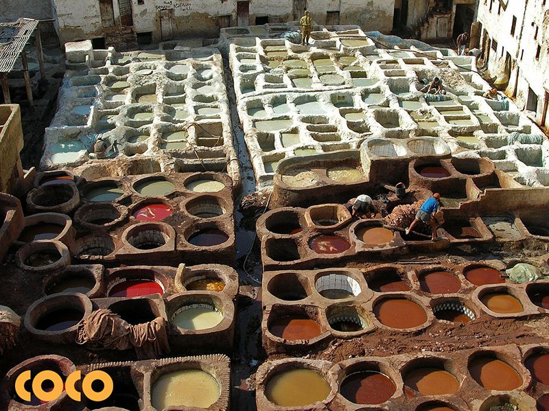 thuộc da và nhuộm da bò
