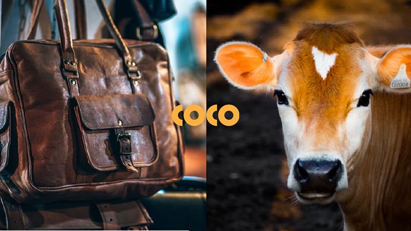 So sánh các loại da calf leather
