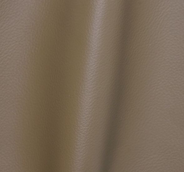 PISA 25