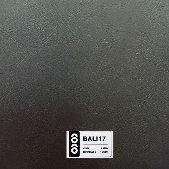 BALI 17